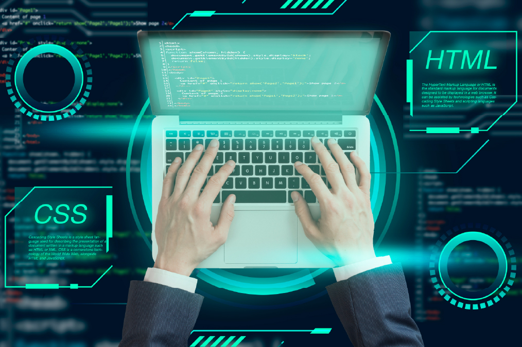 Web Development
