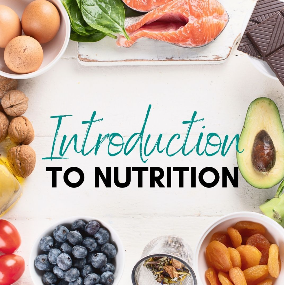 Introduction to Nutrition