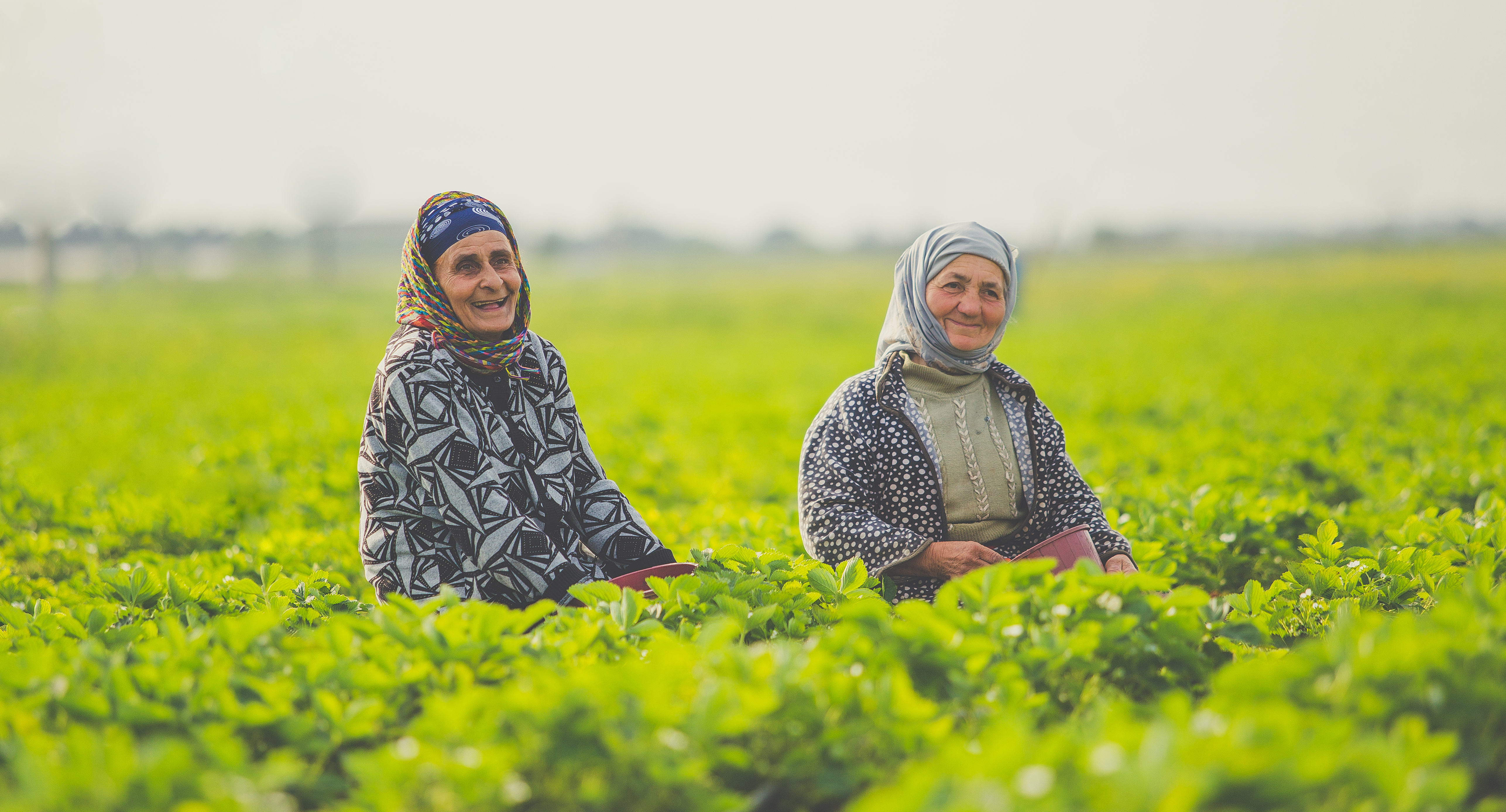 Agriculture Farming
