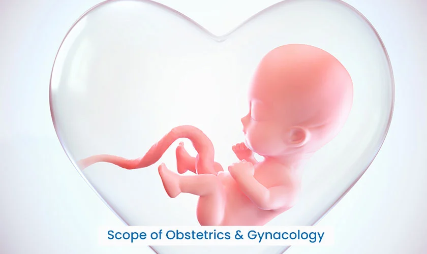 Basics Of Gynaecology & Obstetrics