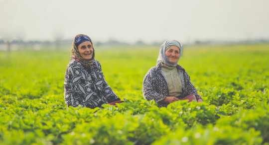 Agriculture Farming