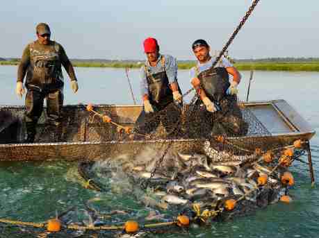 Aquaculture Farming