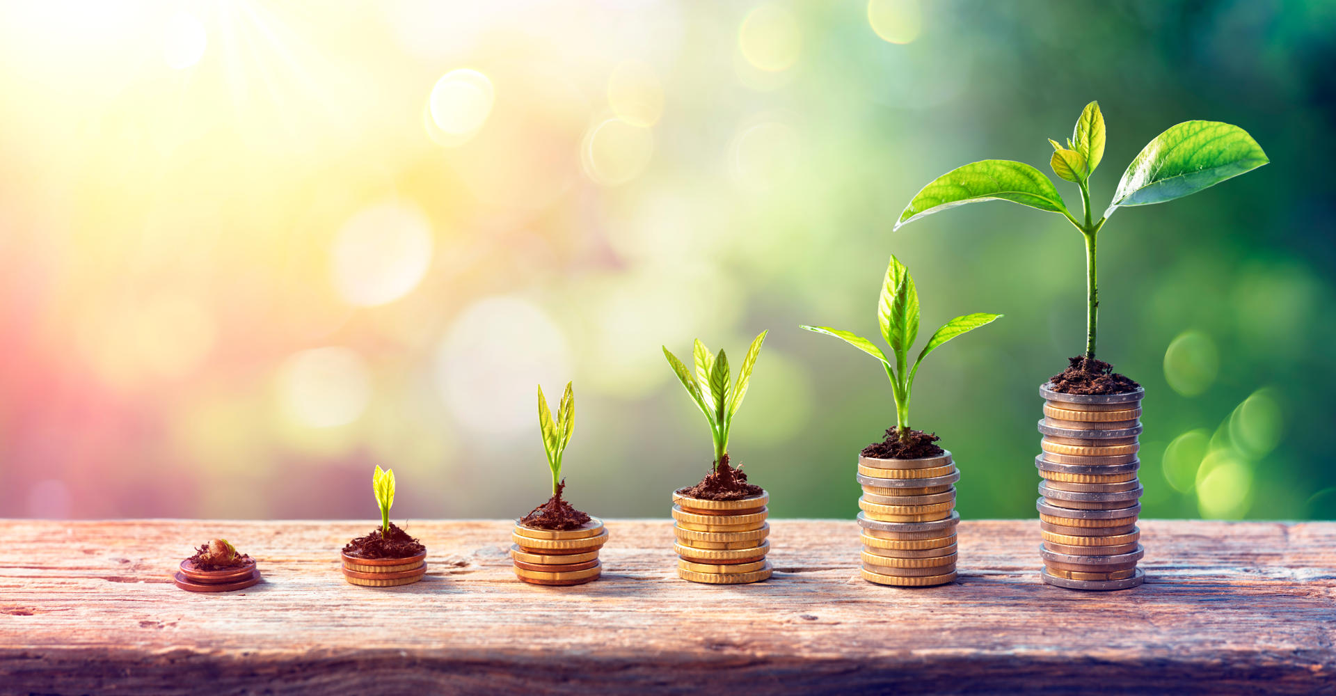Certificate in Agribusiness Entrepreneurship & Management