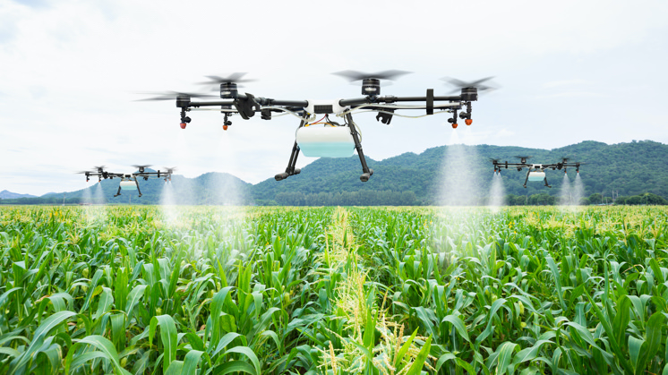Certificate in Climate-Smart Agriculture & Sustainable Farming