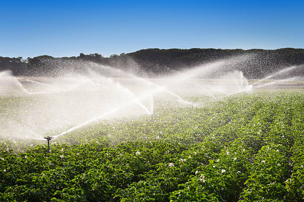 Certificate in Farm Water Resource Management
