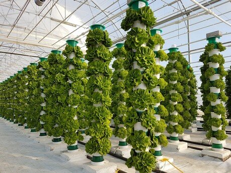 Certificate in Hydroponic Farming & Crop Production