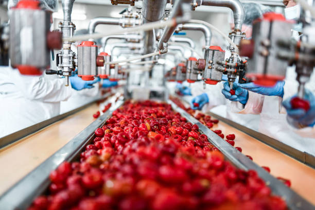 Certificate in Agro-Processing Technology & Operations