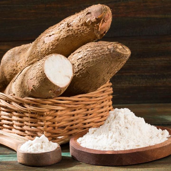 Certificate in Cassava Processing Technology