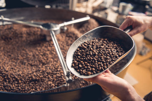 Certificate in Coffee Processing & Quality Management